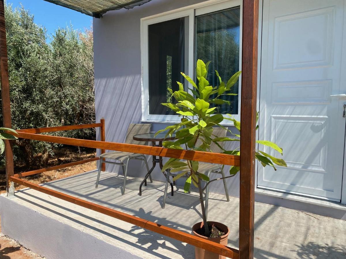Vine Veranda Παλαιοχώρα Εξωτερικό φωτογραφία