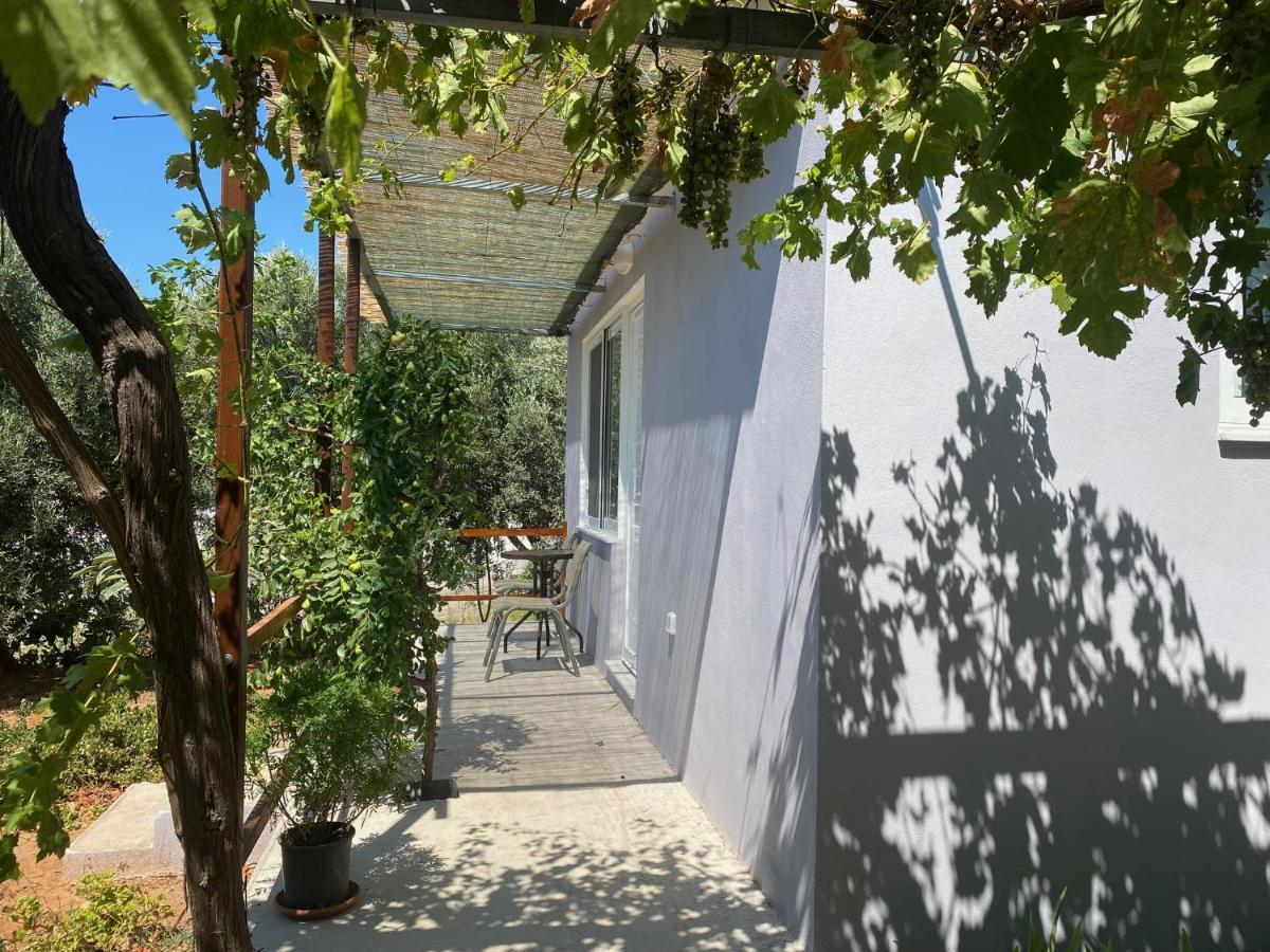 Vine Veranda Παλαιοχώρα Εξωτερικό φωτογραφία