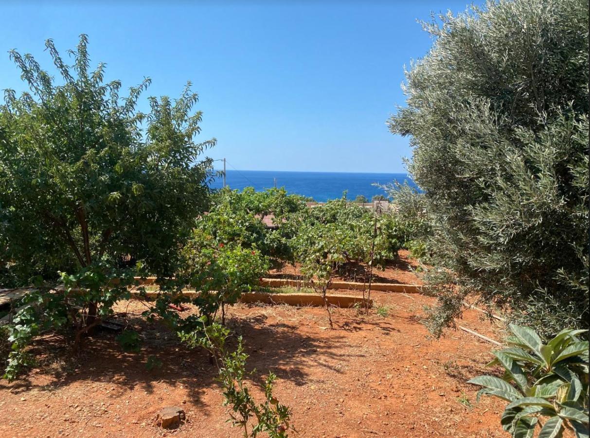Vine Veranda Παλαιοχώρα Εξωτερικό φωτογραφία
